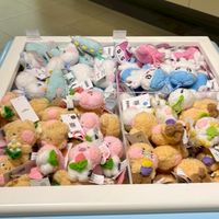🇰🇷Hsin連線代購✨