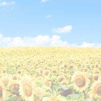 楽うま！夏休みごはんで家族応援