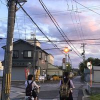 Nihon Enthusiasts