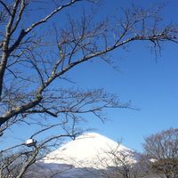日本大小事！ 限定代購