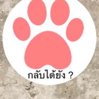กลับได้ยัง ? (จากเพจกลับได้ยัง ?)