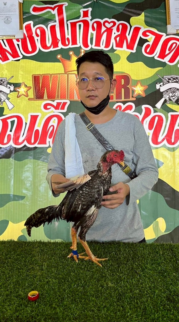 ไร่ลุงยูร เชียงราย