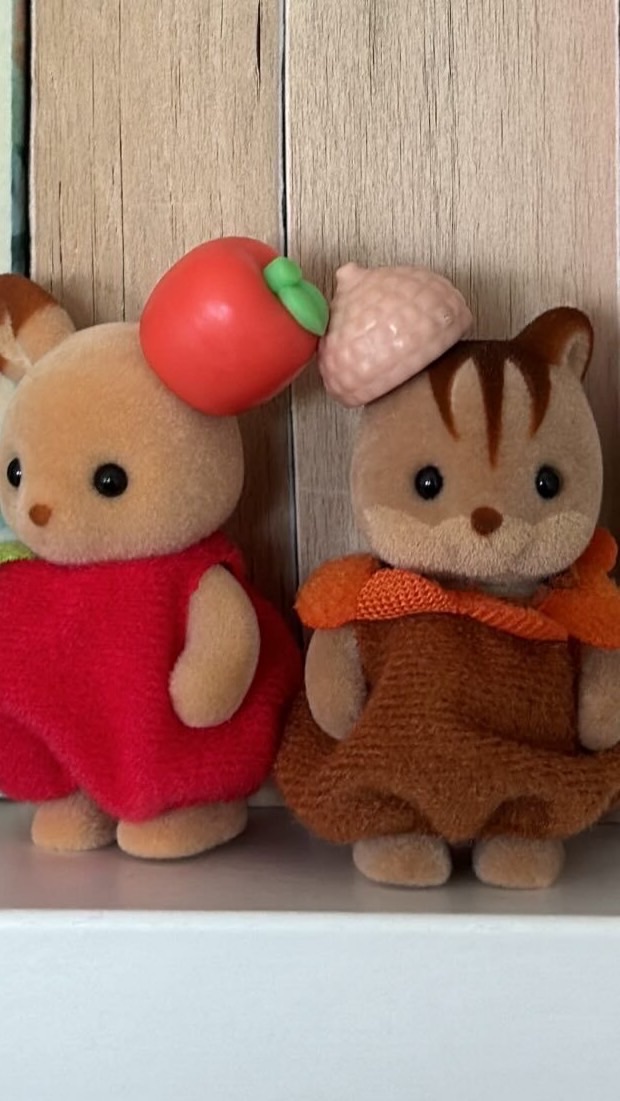 รับหิ้ว sylvanian 🪑🐾 by emily