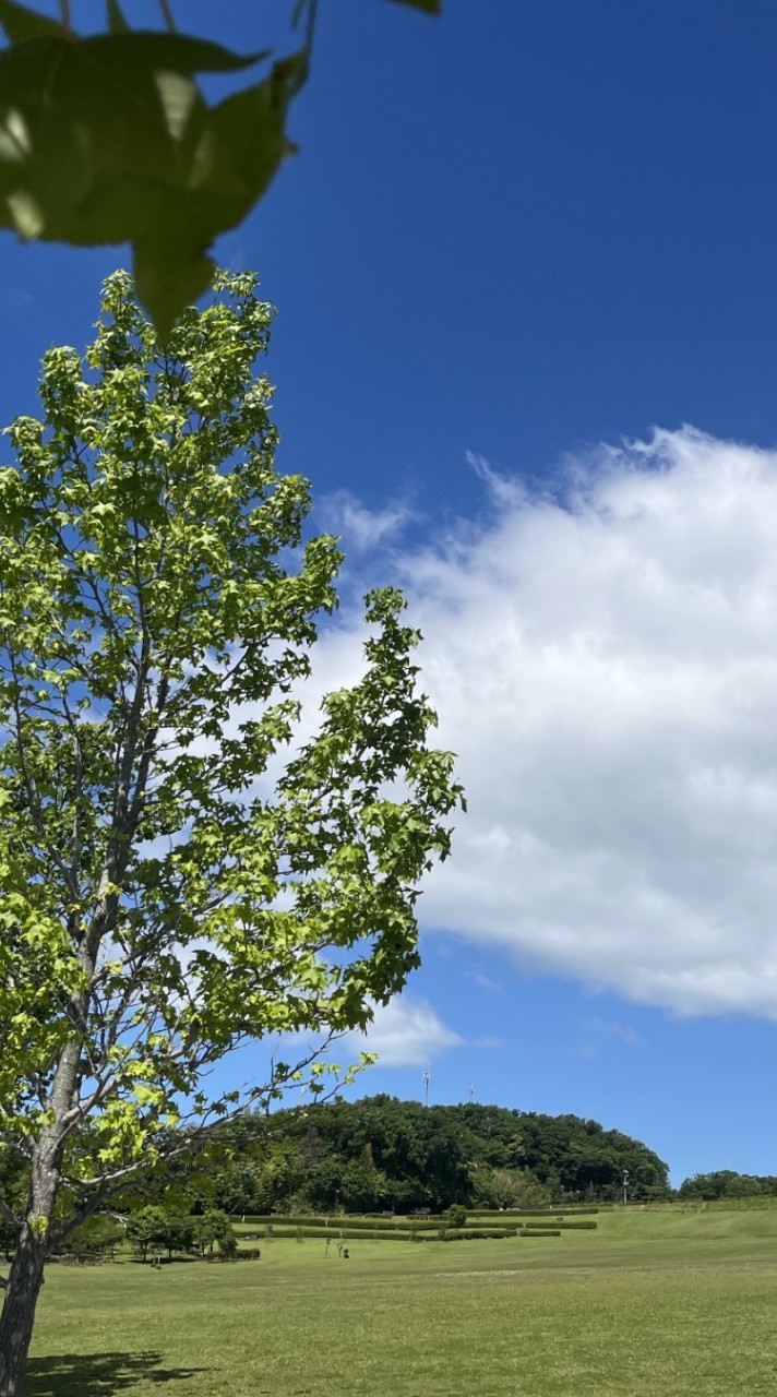 学研 御影みらい教室　掲示板