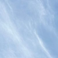 健診に関わるひと