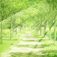 【無料】れいんぼ〜コミュニティ