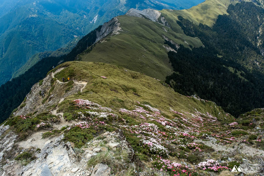 山女孩MelissaxMao冒險生活_奇萊主北_奇萊北峰主峰三天兩夜登山紀錄-146.jpg