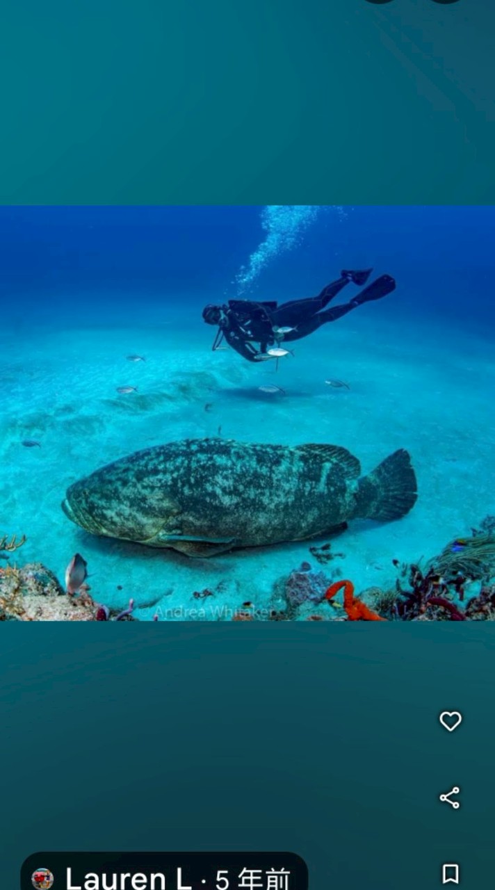 高雄遠百每週看電影