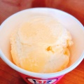 レギュラーカップ - 実際訪問したユーザーが直接撮影して投稿した東葛西アイスクリームサーティワンアイスクリーム アリオ葛西店の写真のメニュー情報