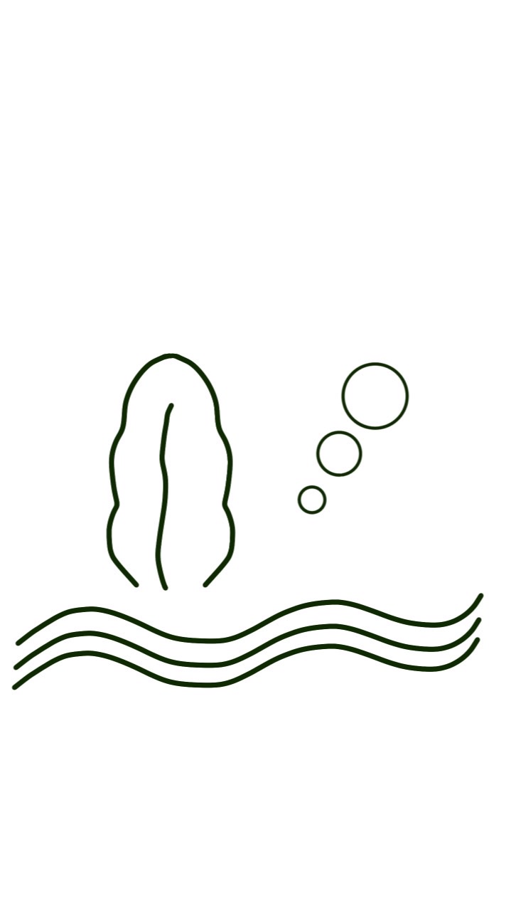 Help Kelp