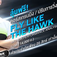 FLY LIKE THE HAWK