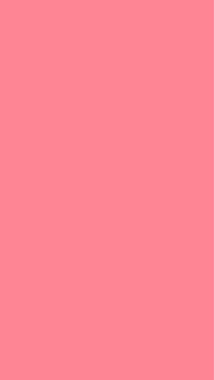 สีชมพู ปีการศึกษา 2569