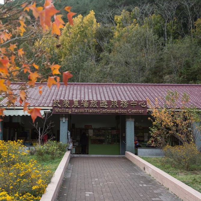 1.武陵農場入場門票一張2.本券使用期限至2020/01/313.本券不得與其他優惠同時使用，不得兌換現金4.如遇武陵農場特殊管制狀況，如櫻花祭管制期間，本券將無法使用，請配合武陵農場規定5.本券如有