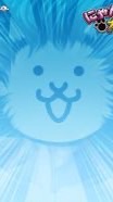 にゃんこ初心者の会