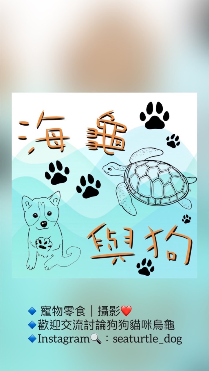 海龜與狗Seaturtle & Dog_毛孩零食💕寵物討論區