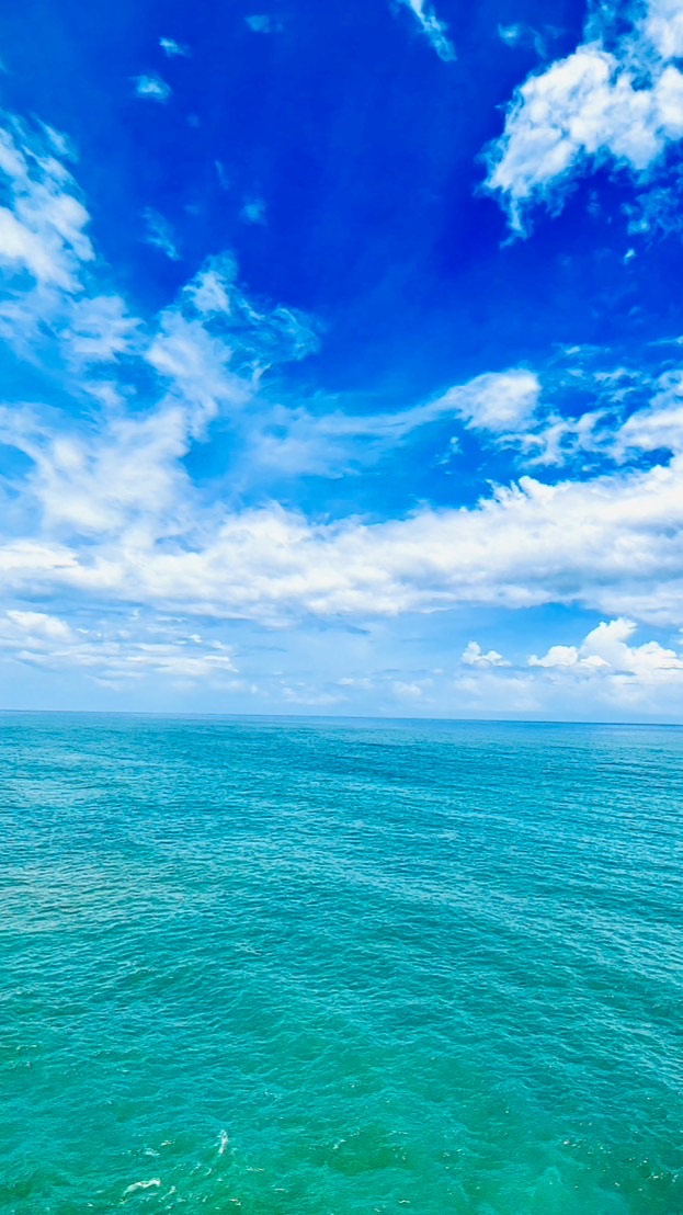戀戀清庭318