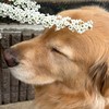 痛みで苦しむ線維筋痛症のあなたとともに