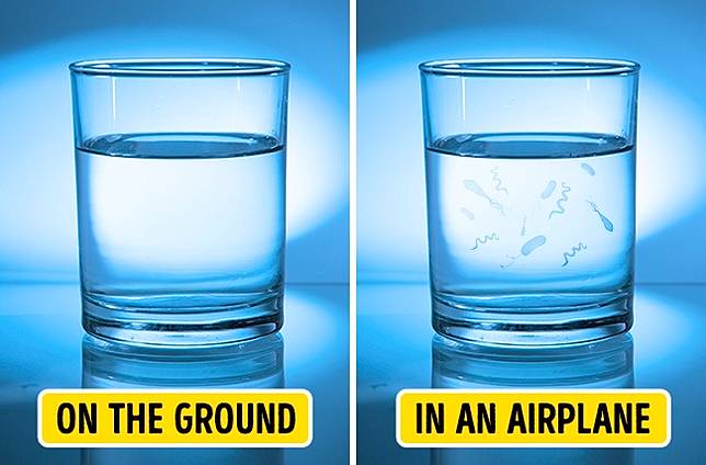 10 Hal Aneh Ini Terjadi pada Tubuh Kamu Saat Naik Pesawat