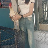 พูดคุยซื้อขายไก่ชนราคากันเอง บิวตี้ไก่ชน🐲🐉
