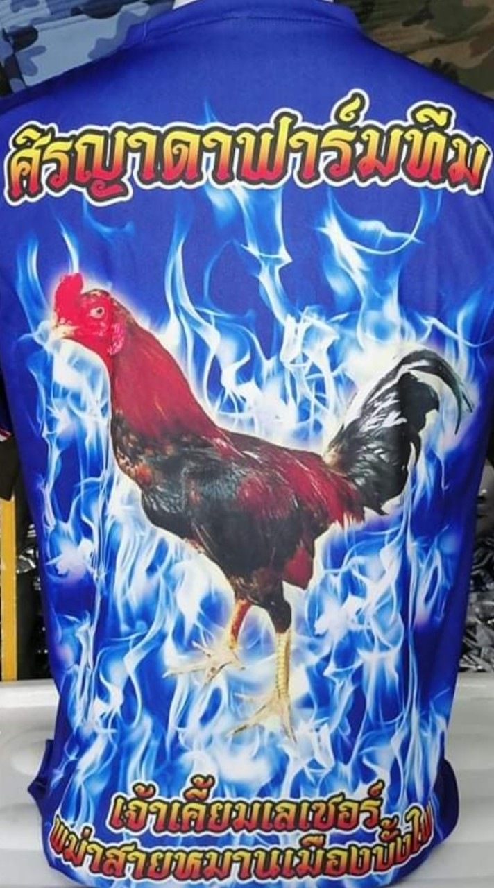 ไก่ชนศิรญาดา