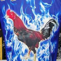 ไก่ชนศิรญาดา
