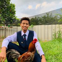 ซุ้ม.อธิบดีฟาร์ม ไก่ชนโคราช🏚️🐓