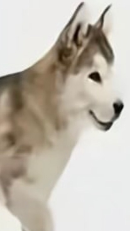 垃圾班導