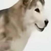 垃圾班導