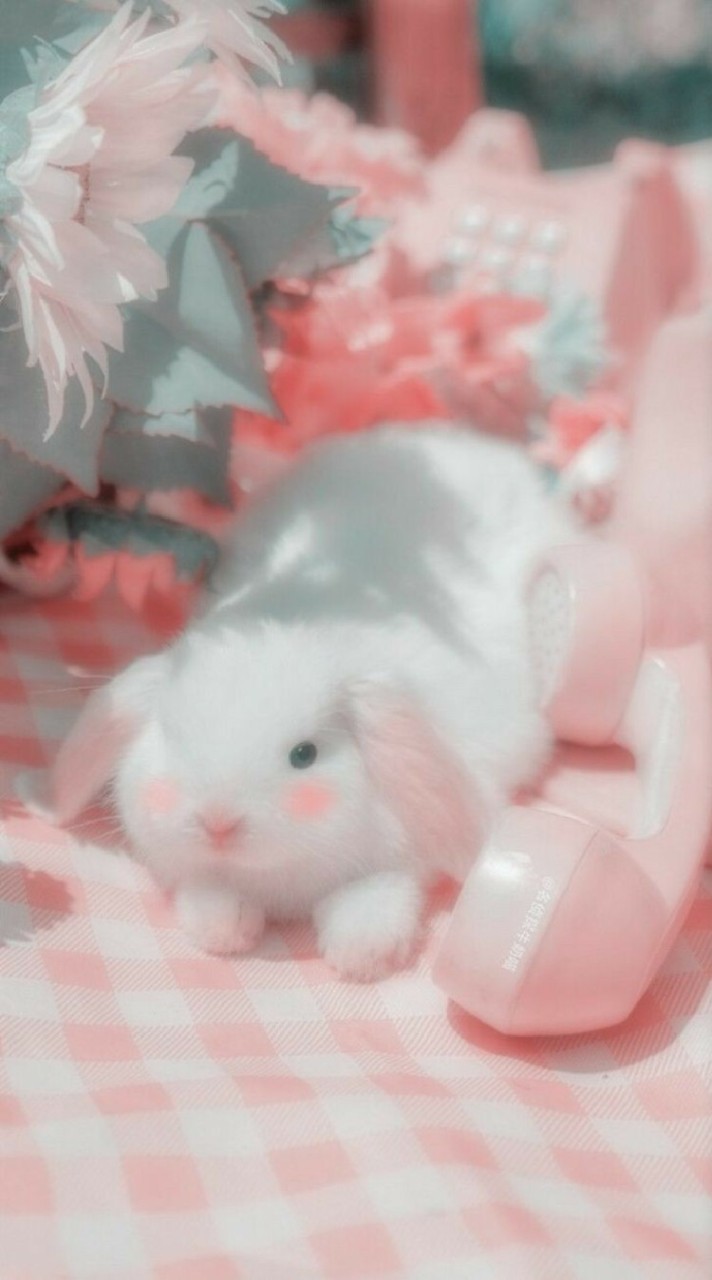 ลูกทีมสร้างแอคคุณแฟรรี่🐰🥚