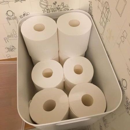 トイレットペーパーがぴったり入るやわらかポリエチレンケース 暮らしニスタ