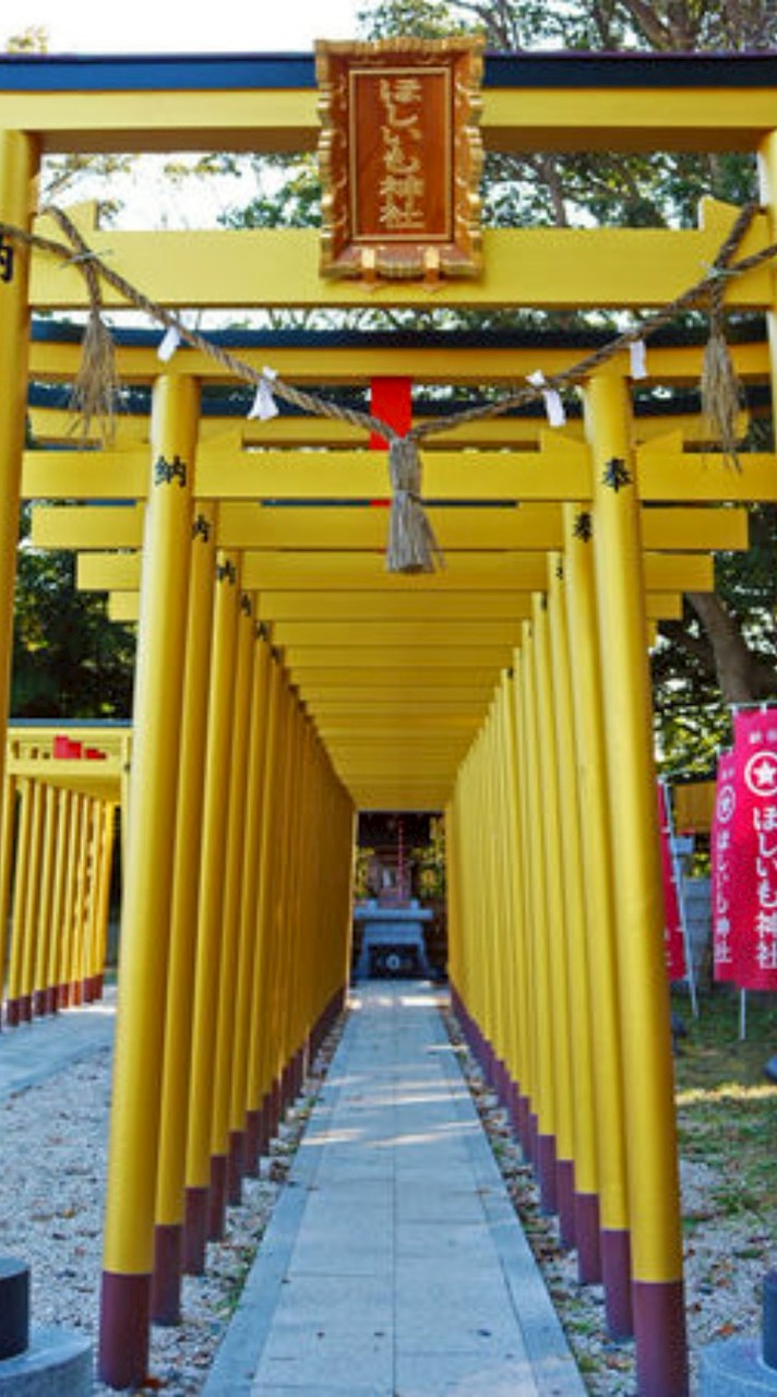 渴了旅遊⛩️小周九州團02/01