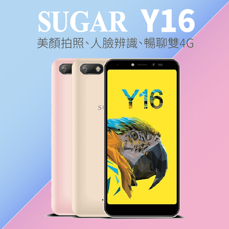 【SUGAR】Y16，本檔全網購最低價！