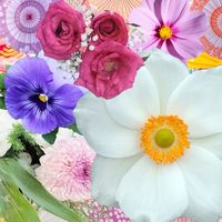 🌼30代〜40代限定🌼雑談✨相談部屋🍀🌈