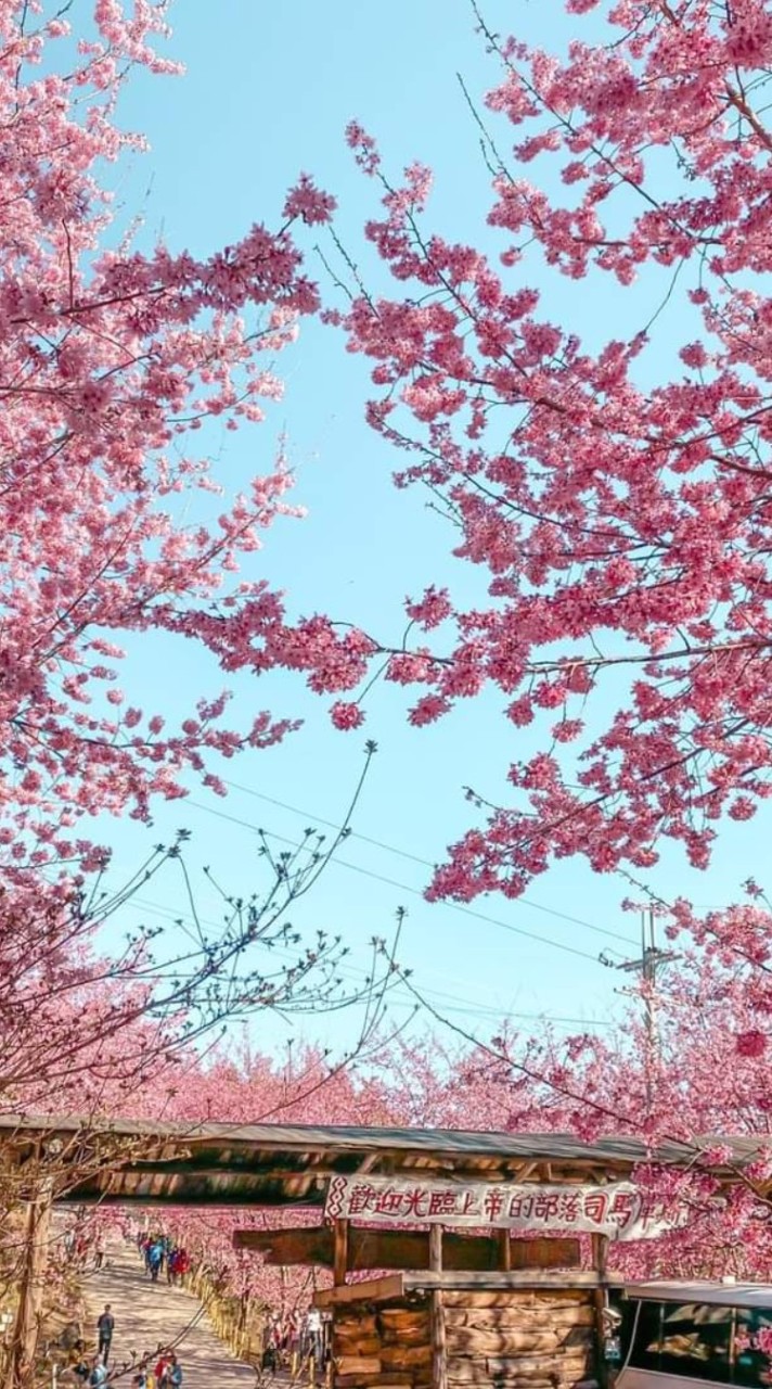 💖與Ru寶一起去旅遊💖