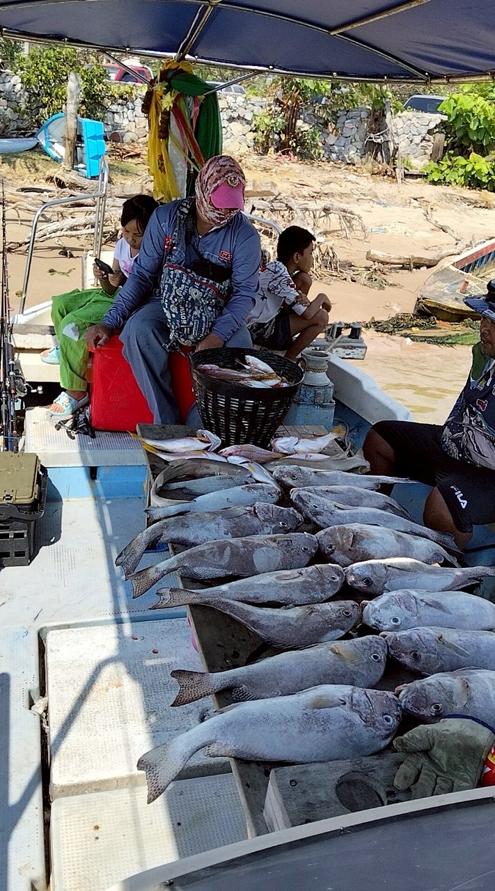 ท่องเที่ยวตกปลากับไต๋ไก่สัตหีบ