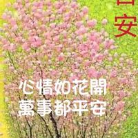 Amway