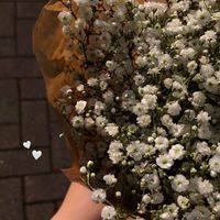 韓國服飾、美妝、零食代購🇰🇷