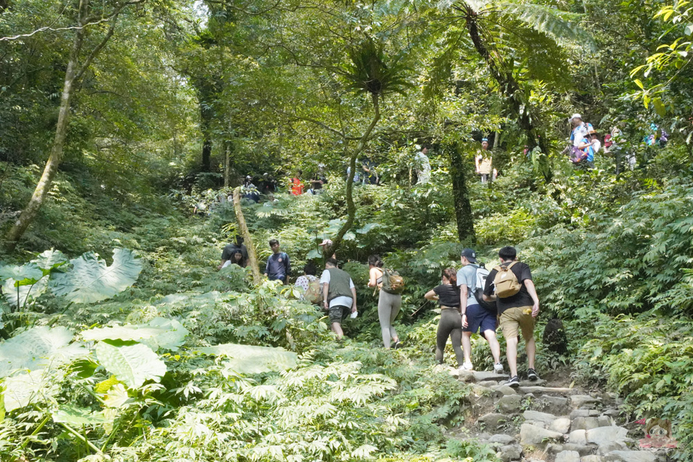 宜蘭.礁溪 臺灣的抹茶冰淇淋山，網美級小百岳仙境，挑戰聖母山莊步道，順收五峰旗瀑布