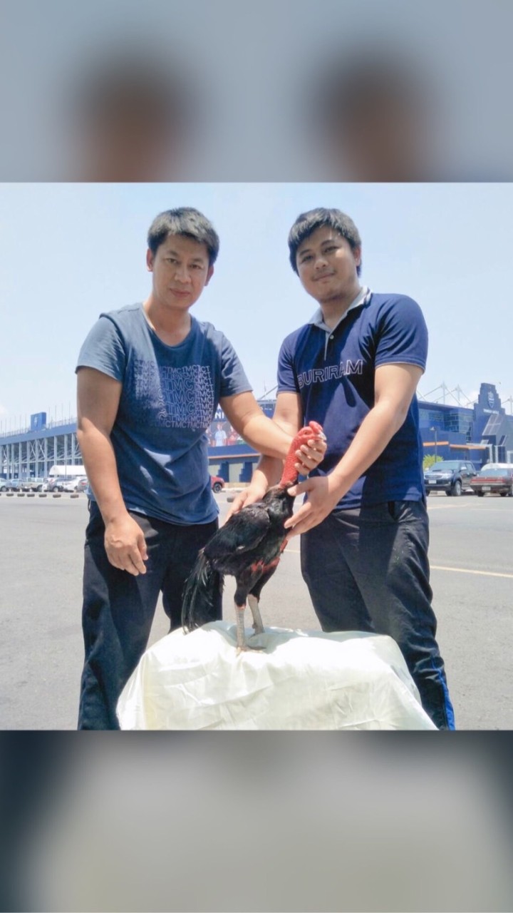 ซุ้มไก่เมฆมังกรบิน