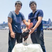 ซุ้มไก่เมฆมังกรบิน