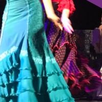 フラメンコ舞踊部　オンライン