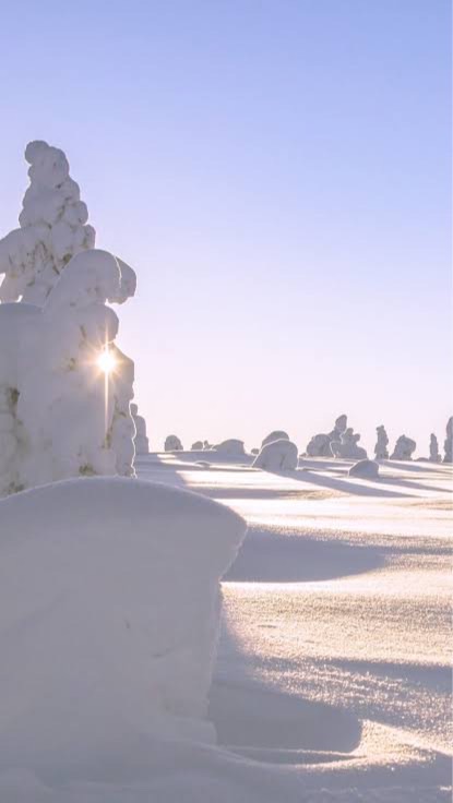 北海道民集まれ〜！