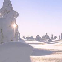 北海道民集まれ〜！🐮