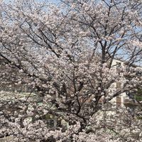 新旭ヶ丘第8班オープンチャット