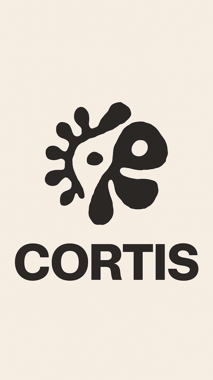 CORTIS代購小天地