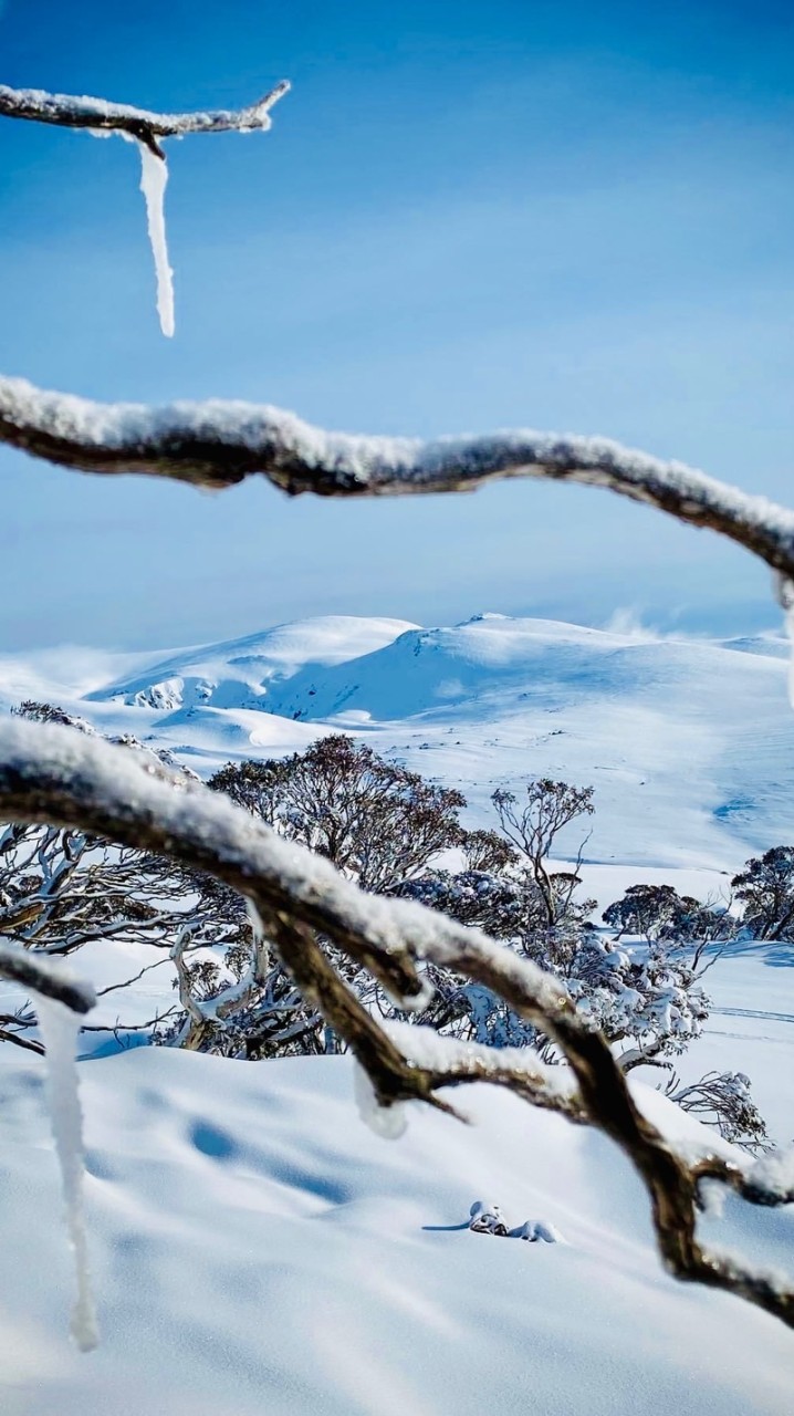 澳洲雪山🏔️NSW