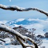 澳洲雪山🏔️NSW