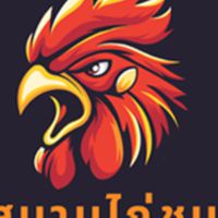 สนามไก่ชน169