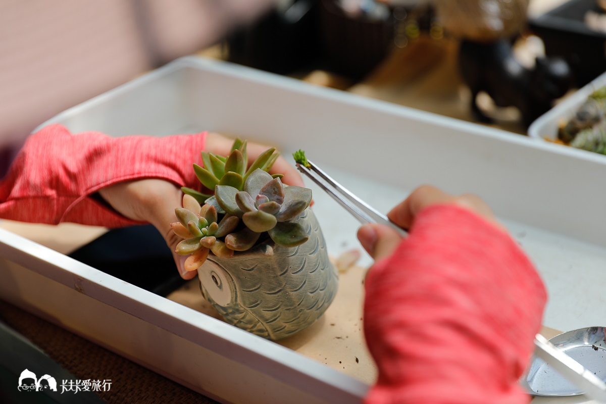 免費朝聖「台版慶修院、百萬夜景祕境」！宜蘭員山６私房景點，在地人都愛去