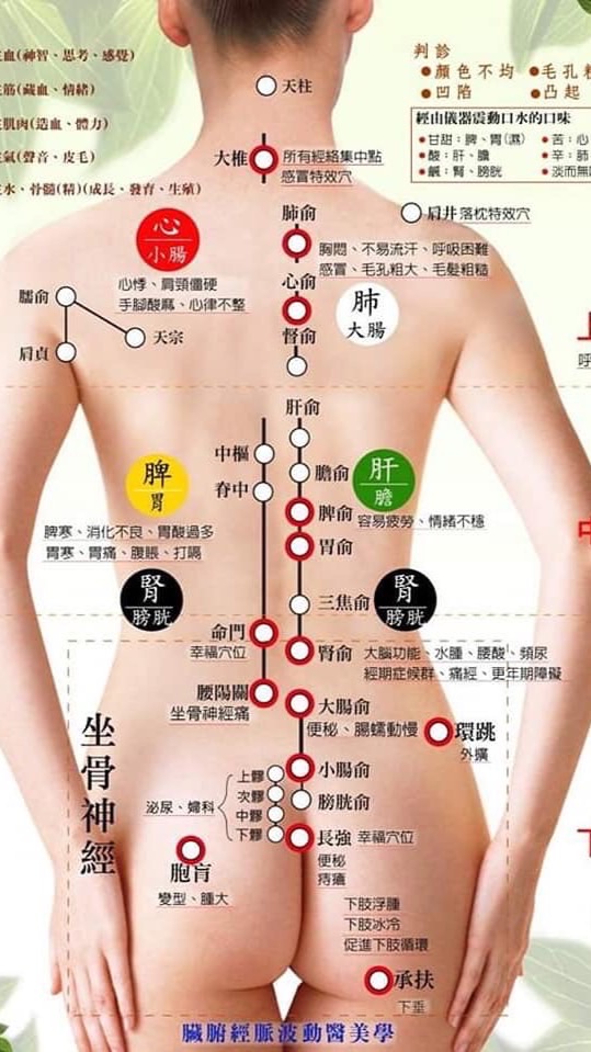 按摩服務-限女性
